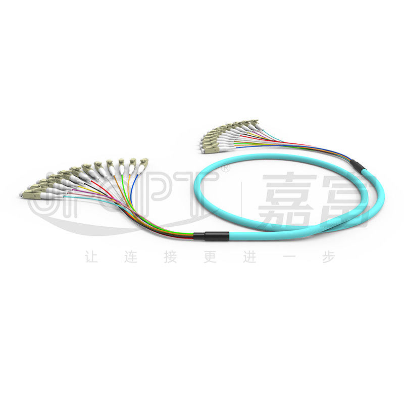 LC - LC 12 Core Bundle Branch Fiber Optic Patch Cord Multimode 50/125 6.2mm LSZH Aqua
