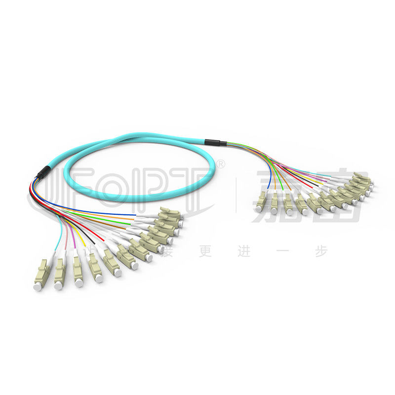 LC - LC 12 Core Bundle Branch Fiber Optic Patch Cord Multimode 50/125 6.2mm LSZH Aqua