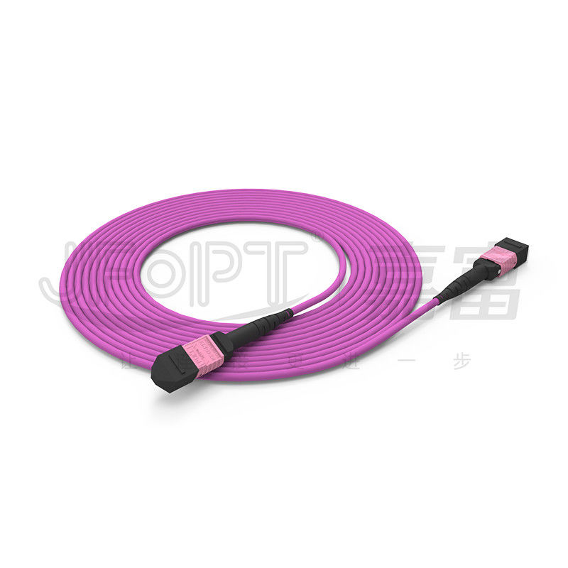 100G MTP Patch Cord 24 Cores Multimode OM4 50/125 LSZH 3.0-4.0mm Heather Violet Jumper