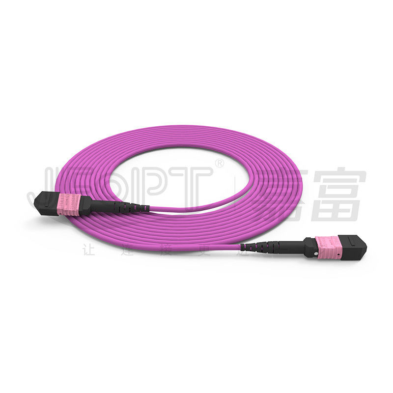 100G MTP Patch Cord 24 Cores Multimode OM4 50/125 LSZH 3.0-4.0mm Heather Violet Jumper