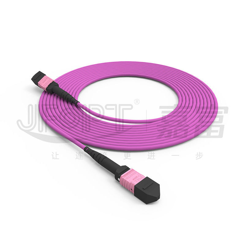 100G MTP Patch Cord 24 Cores Multimode OM4 50/125 LSZH 3.0-4.0mm Heather Violet Jumper