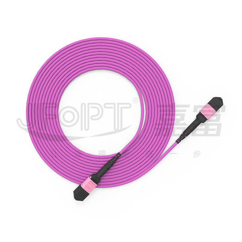 100G MTP Patch Cord 24 Cores Multimode OM4 50/125 LSZH 3.0-4.0mm Heather Violet Jumper