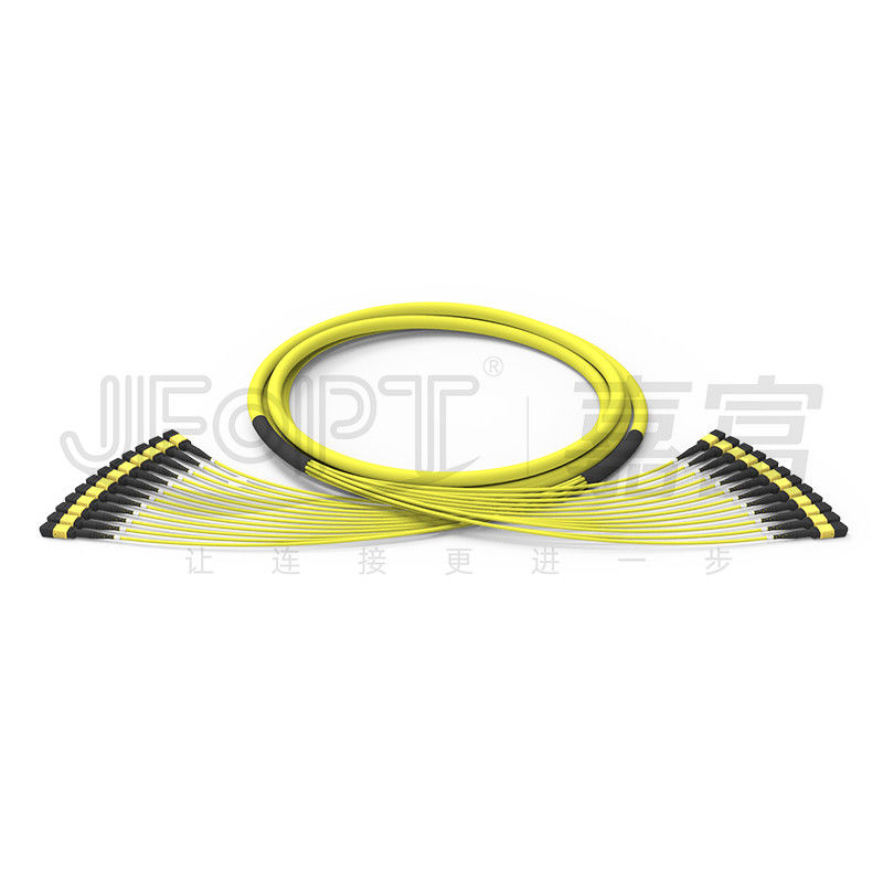 144 Cores MPO Trunk Cable 12 Units MPO Connectors 24 Uneven Branch