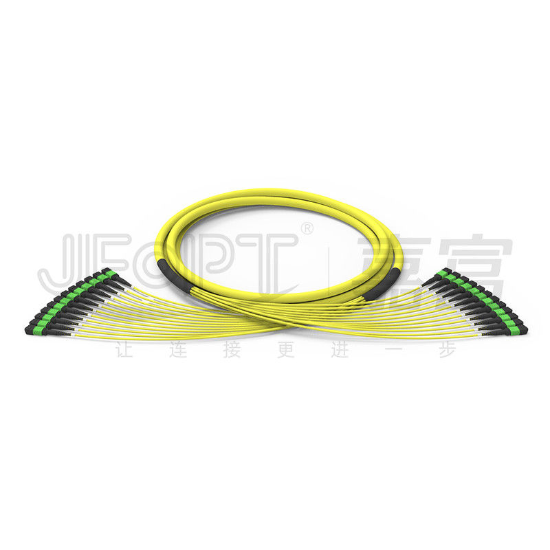 144 Cores MPO Trunk Cable 12 Units MPO Connectors 24 Uneven Branch
