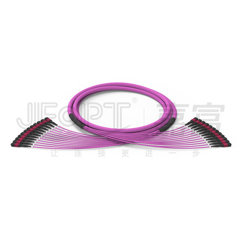 144 Cores MPO Trunk Cable 12 Units MPO Connectors 24 Uneven Branch