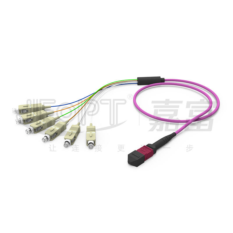 MTP - SC 6 Core 8 Core 3.0mm Main Cable Branching SC Patch Cord