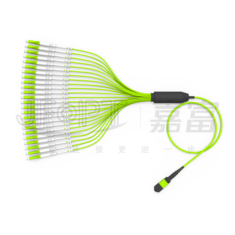 MPO-LC 24-Core 3.0mm OM5 Trunk Cable With LC/UPC 2.0mm Branch TypeB