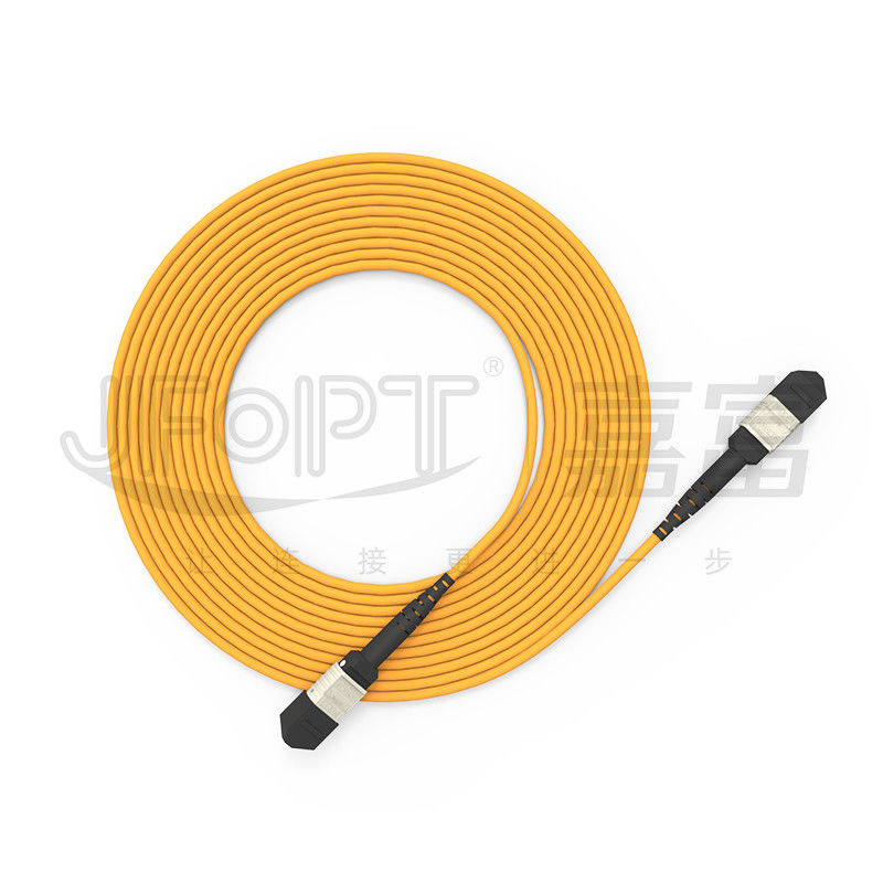 3.0mm MPO Trunk Cable 24 Core Backbone Cable OFNR OFNP Flame Retardant 2x12 Ferrule