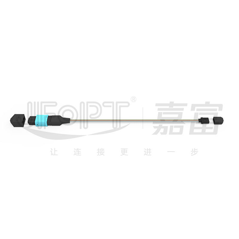 Ribbon Bare Fiber MPO Patch Cable 12 Core MPO-MT Flat Boot