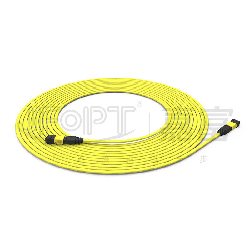 12-Core MPO To MPO Patch Cord Cable Terminated OS2 2.5*5.0mm LSZH