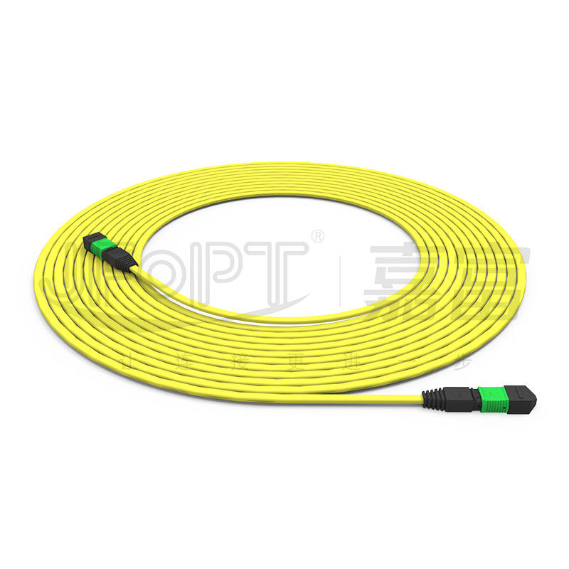 12-Core MPO To MPO Patch Cord Cable Terminated OS2 2.5*5.0mm LSZH