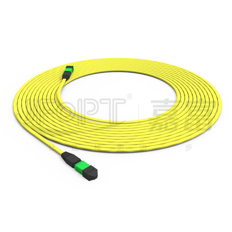 12-Core MPO To MPO Patch Cord Cable Terminated OS2 2.5*5.0mm LSZH