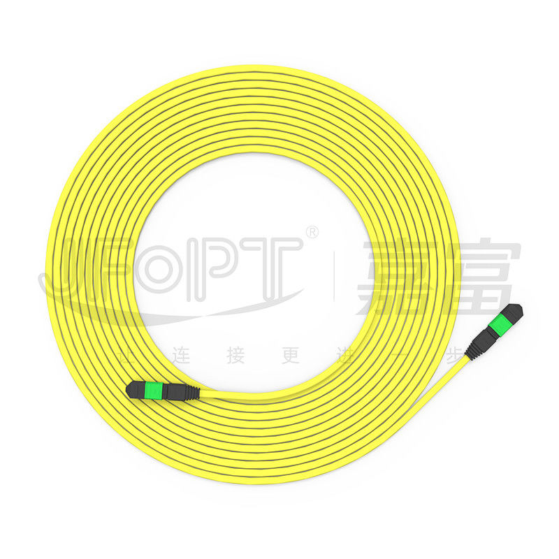 12-Core MPO To MPO Patch Cord Cable Terminated OS2 2.5*5.0mm LSZH