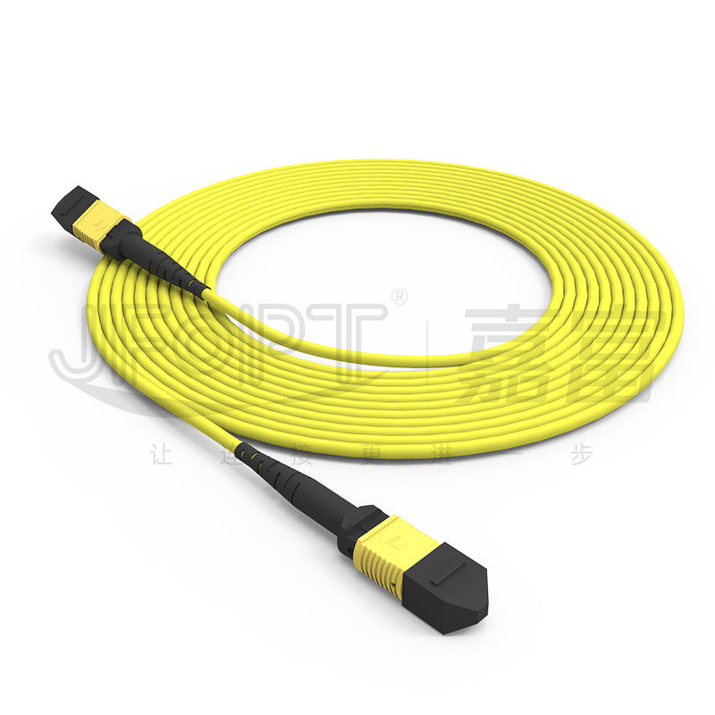 Armored Trunk Jumper 12-Core Single Mode G657A1/G657A2 Standard Loss/Low Loss