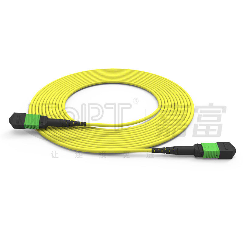 Armored Trunk Jumper 12-Core Single Mode G657A1/G657A2 Standard Loss/Low Loss