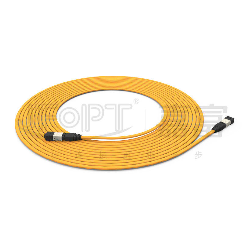 Flame-Retardant Trunk Cable  12-Core Multimode 50/125 OFNR/OFNP