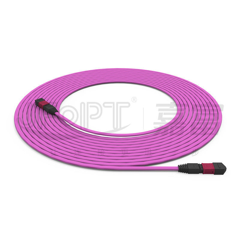 Flame-Retardant Trunk Cable  12-Core Multimode 50/125 OFNR/OFNP