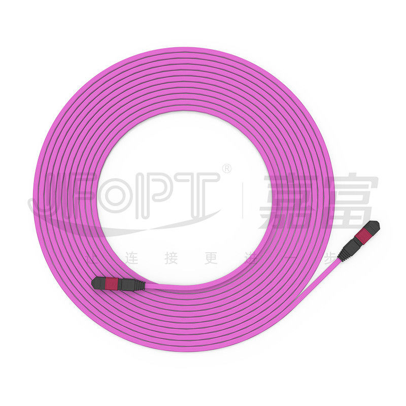 Flame-Retardant Trunk Cable  12-Core Multimode 50/125 OFNR/OFNP