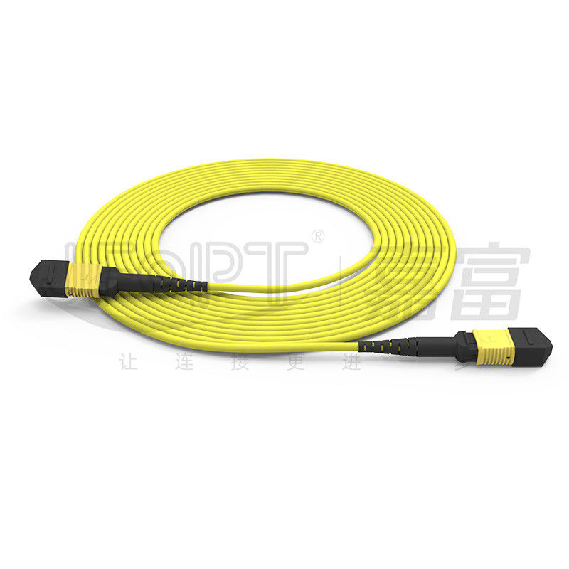 12-Core MPO Trunk Cable Patch Cord Single-Mode G657A1/G657A2 3.0 LSZH A/B Polarity Reversal