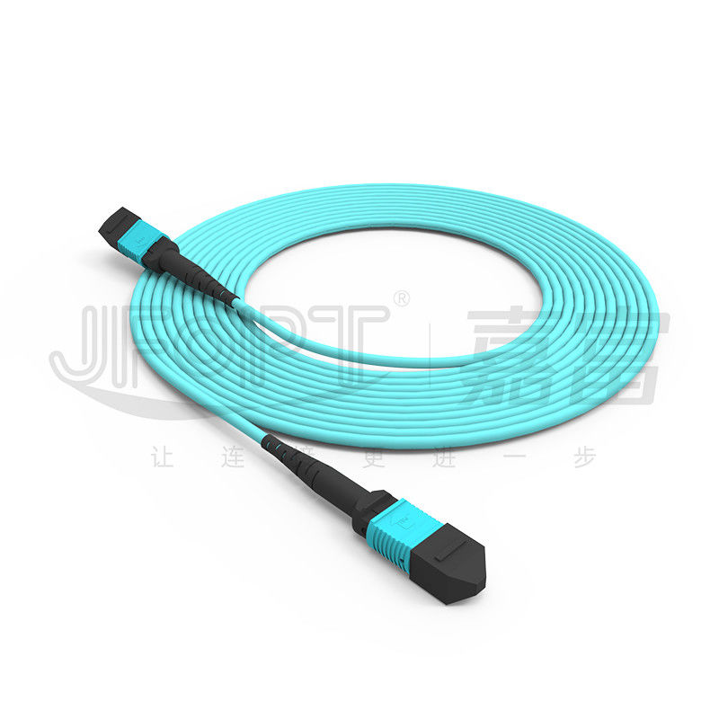 24-Core MPO Backbone Jumper Multimode Low Loss OM3/OM4/OM5 BIMMF