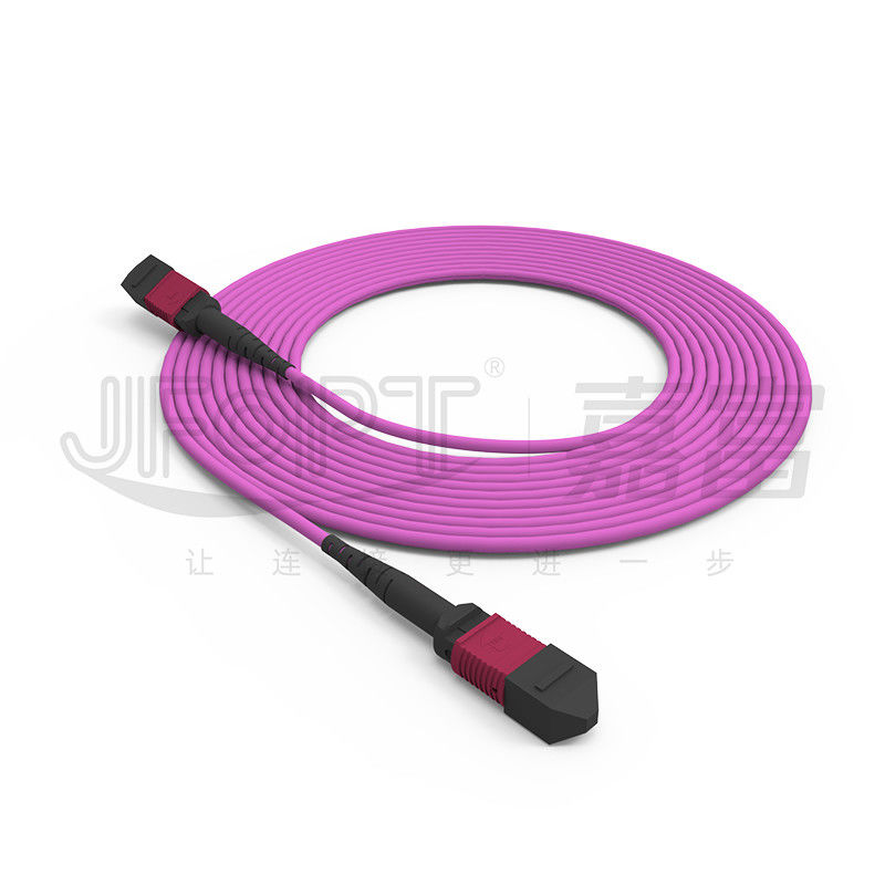 24-Core MPO Backbone Jumper Multimode Low Loss OM3/OM4/OM5 BIMMF