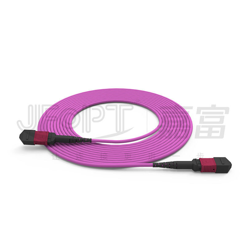 24-Core MPO Backbone Jumper Multimode Low Loss OM3/OM4/OM5 BIMMF
