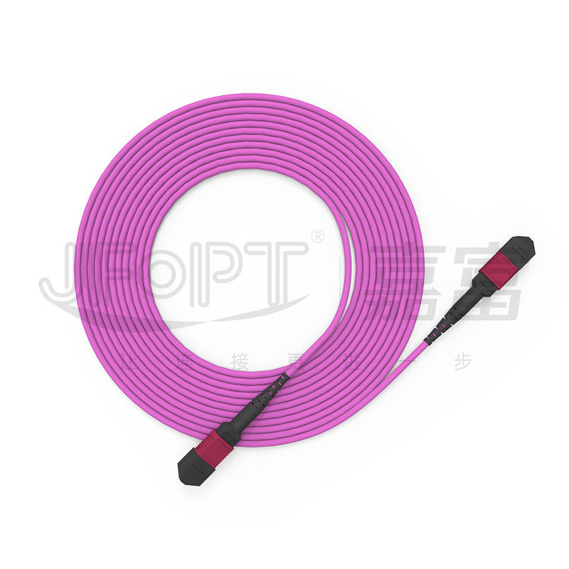 24-Core MPO Backbone Jumper Multimode Low Loss OM3/OM4/OM5 BIMMF
