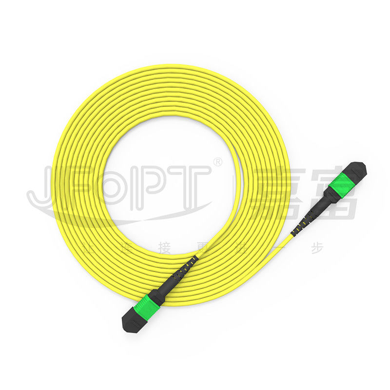 24-Core Single-Mode MPO Trunk Cable G657A1/G657A2 Backbone Jumper