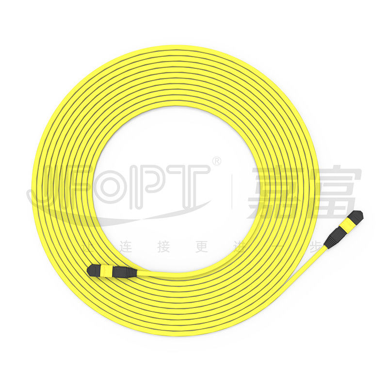 MTP-MTP 12-Core Single-Mode 9/125 G657A1/A2 Ribbon Type Trunk Cable
