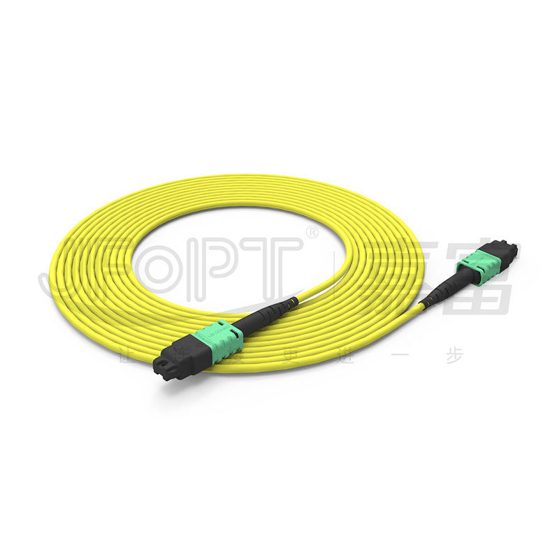 MTP PRO 12-Core Single-Mode/Multi-Mode 3.0mm OFN/OFNR/OFNP A/B Polarity Conversion Patch Cord