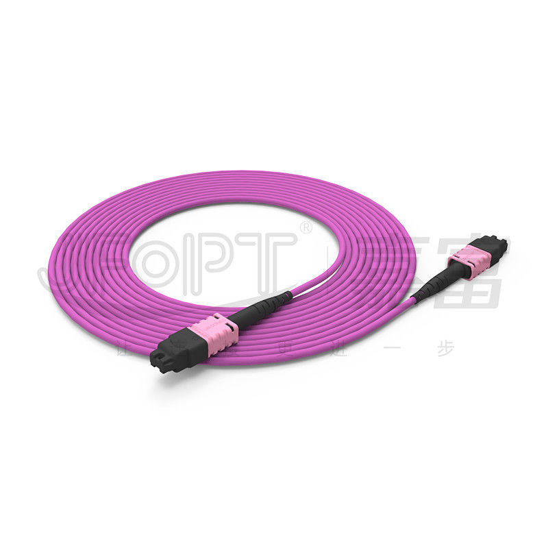 MTP PRO 12-Core Single-Mode/Multi-Mode 3.0mm OFN/OFNR/OFNP A/B Polarity Conversion Patch Cord