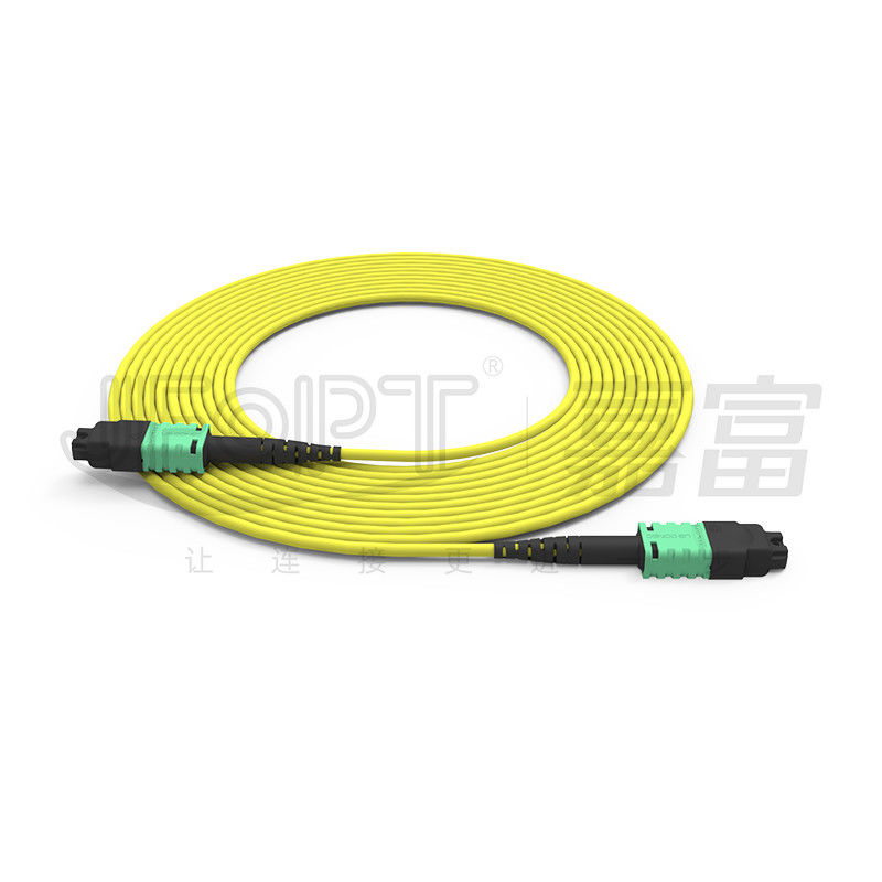 MTP PRO 12-Core Single-Mode/Multi-Mode 3.0mm OFN/OFNR/OFNP A/B Polarity Conversion Patch Cord