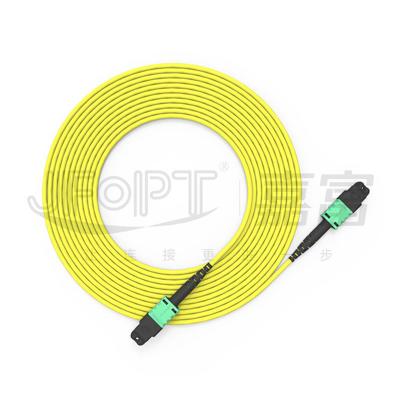 MTP PRO 12-Core Single-Mode/Multi-Mode 3.0mm OFN/OFNR/OFNP A/B Polarity Conversion Patch Cord