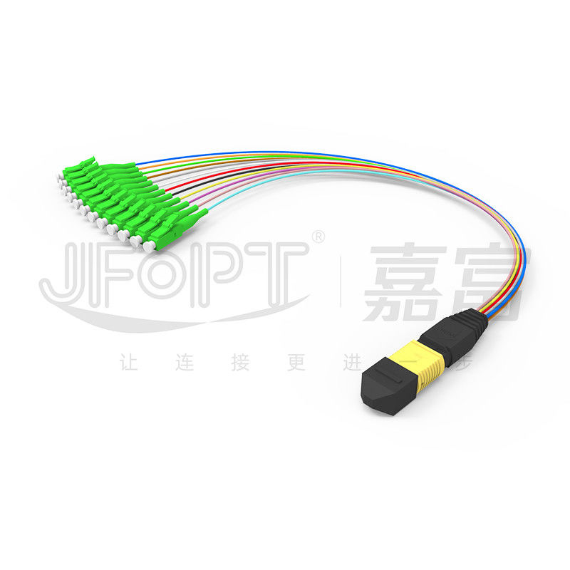 Singlemode / Multimode 12/24-Core 0.9mm MPO Patch Panel Module Box With Jumpers
