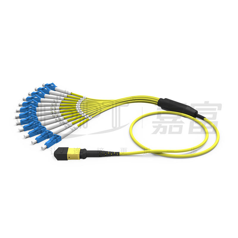 MPO-SC/LC/FC/ST 8/12/24-Core Single / Multi Mode Low Loss Patch Cord Telecom Grade
