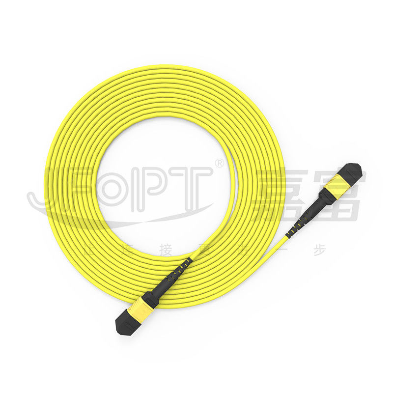 10 Gigabits MPO patch cord Fast Connection for optical signal connection in computer room