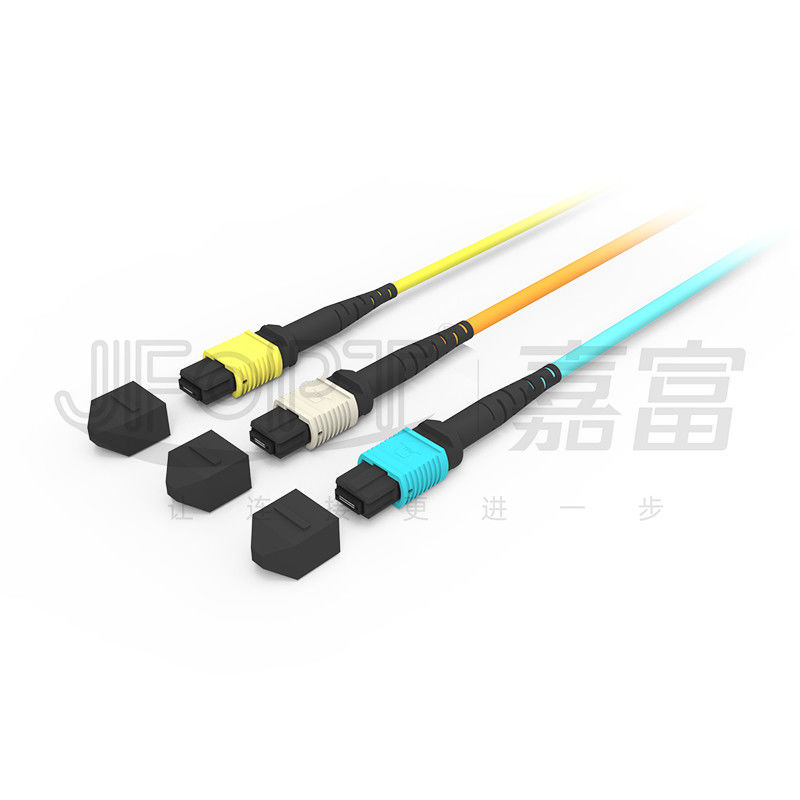 850nm Multimode Low Loss Ferrule MPO Trunk Cable Multi-core Fiber Optic Patch Cord